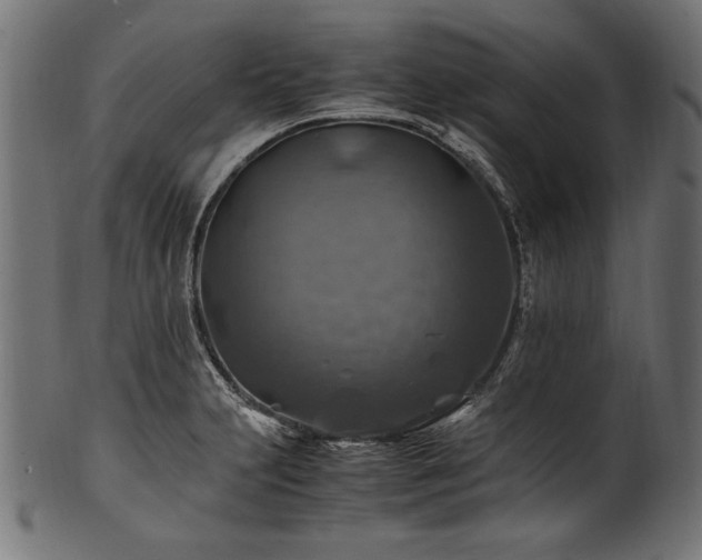 X0000100951231200806241456