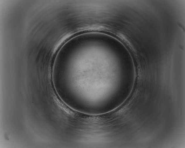 X0000100951232200806241456