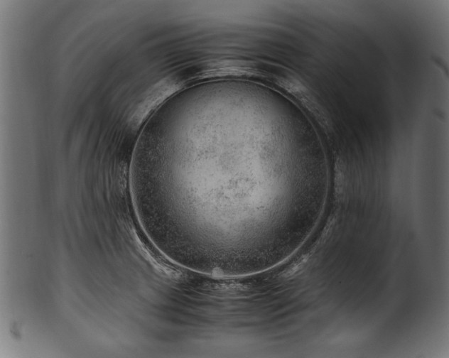 X0000100951233200806241456