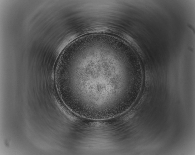 X0000100951234200806241456