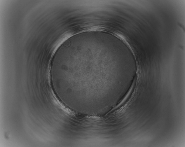 X0000100951235200806241456