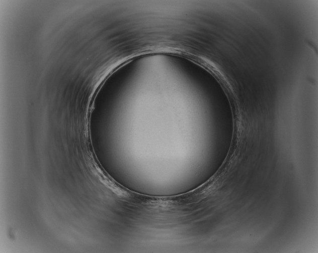 X0000100951236200806241456