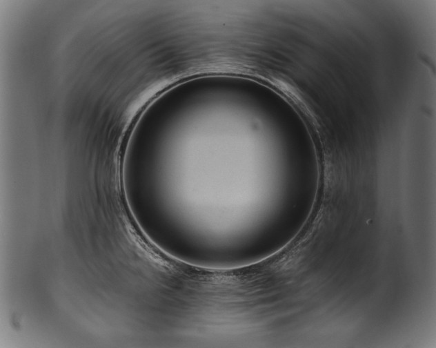 X0000100951238200806241456