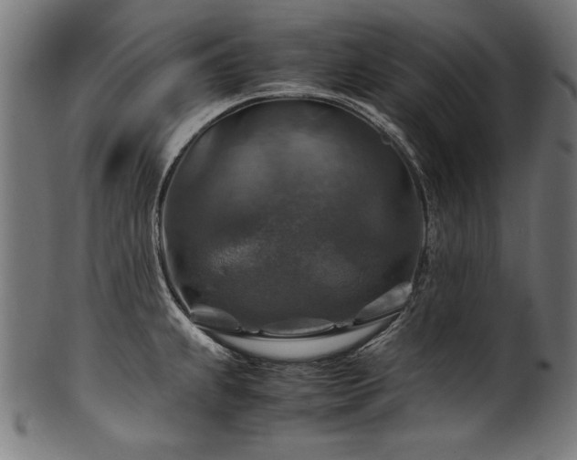 X0000100951239200806241456