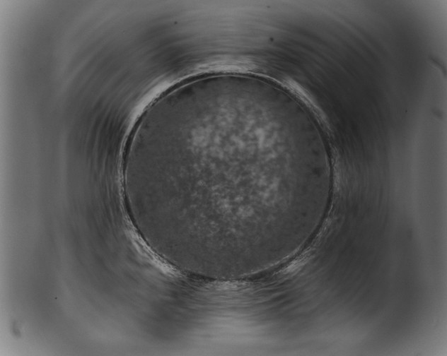X0000100951240200806241456