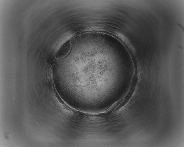X0000100951241200806241456