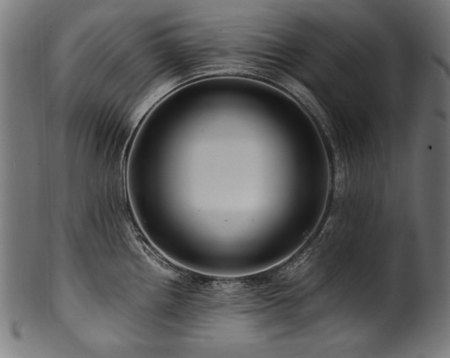X0000100951242200806241456