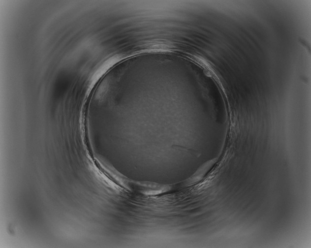 X0000100951243200806241456