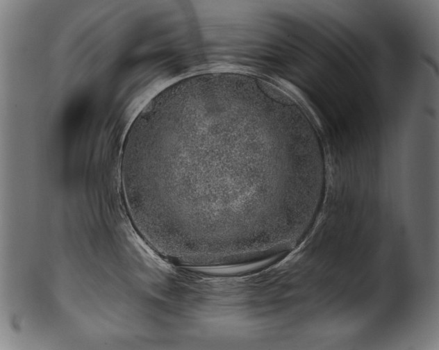 X0000100951244200806241456