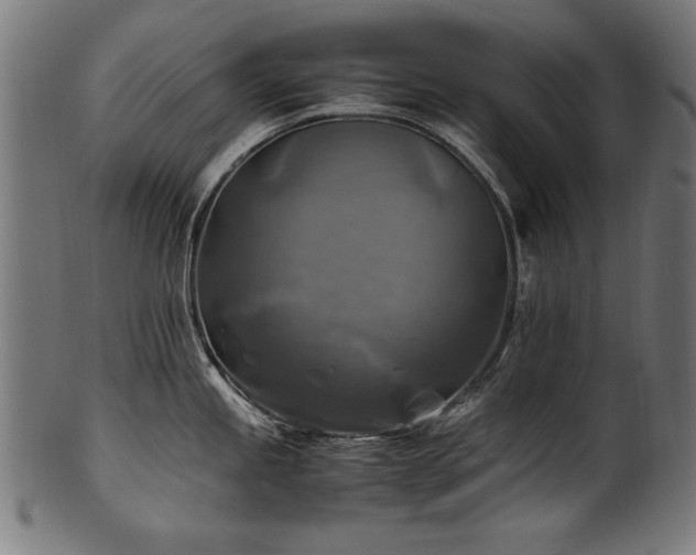 X0000100951245200806241456