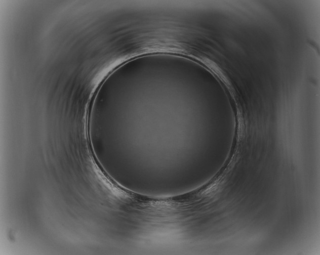 X0000100951246200806241456