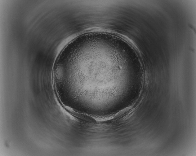 X0000100951247200806241456