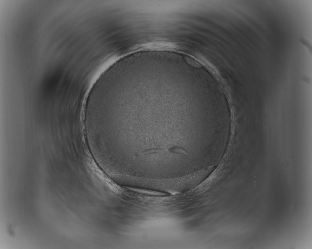 X0000100951248200806241456