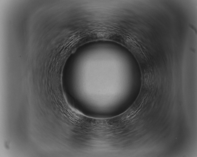 X0000100951249200806241455