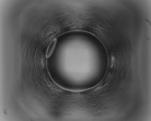 X0000100951250200806241455