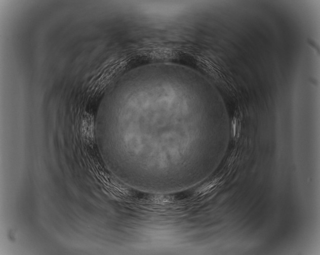 X0000100951251200806241455