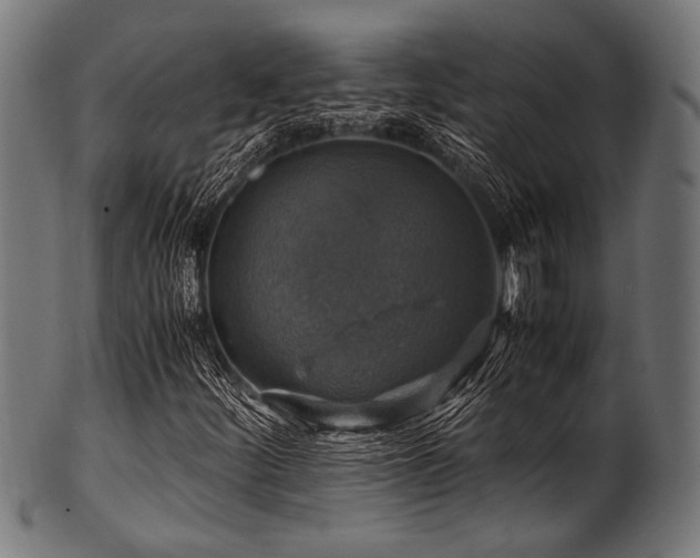 X0000100951252200806241455