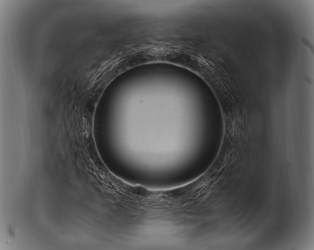 X0000100951253200806241455