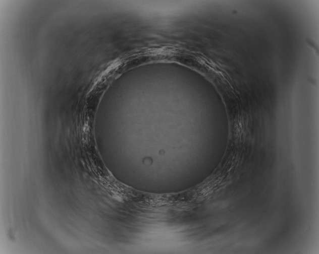 X0000100951254200806241455