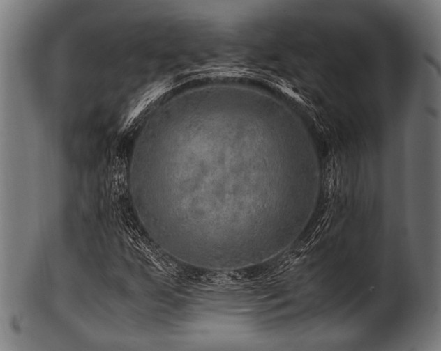 X0000100951255200806241455