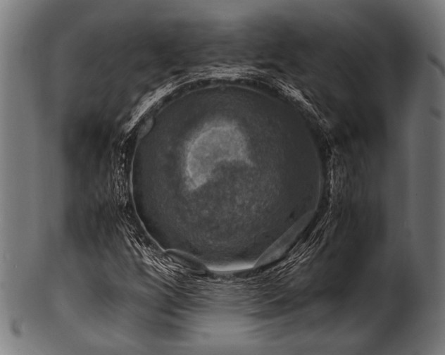 X0000100951256200806241455