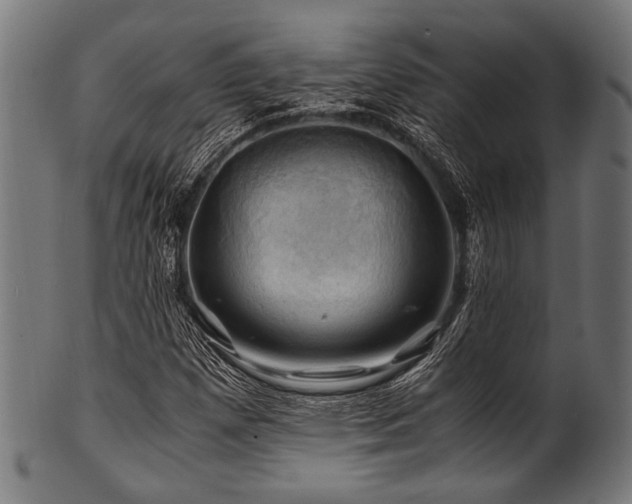 X0000100951257200806241455