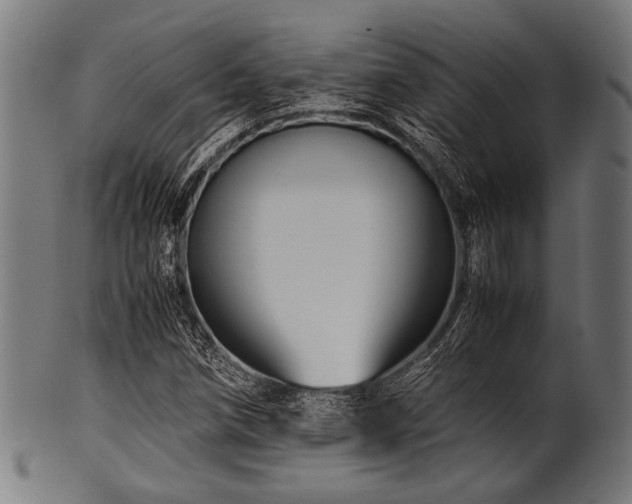 X0000100951258200806241455