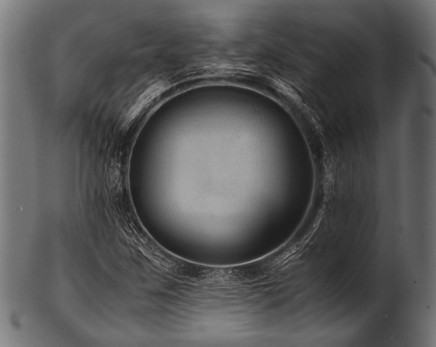 X0000100951259200806241455
