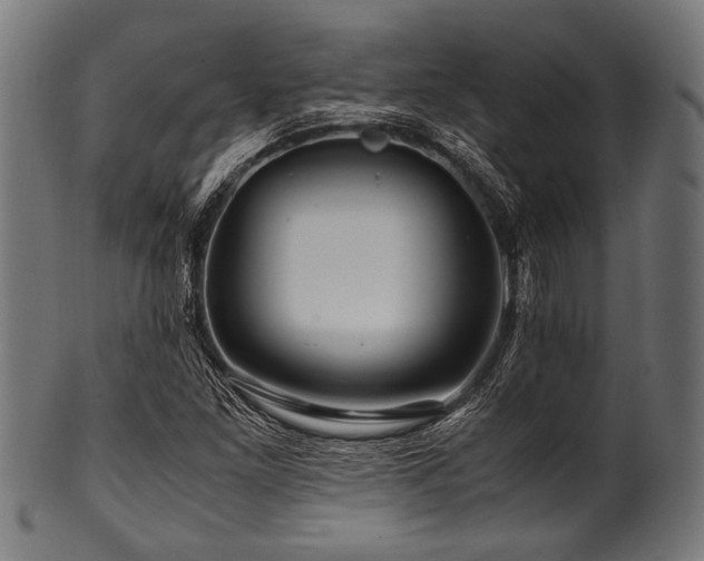 X0000100951261200806241455