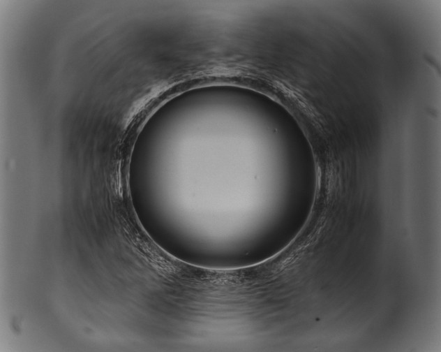 X0000100951262200806241455