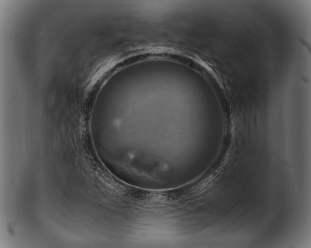 X0000100951263200806241455
