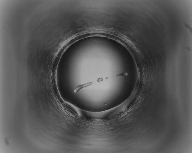 X0000100951264200806241455