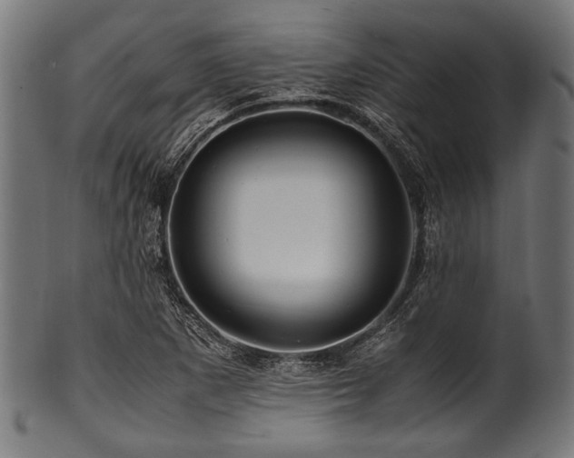 X0000100951265200806241455