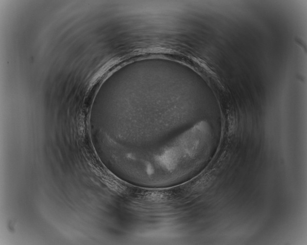 X0000100951266200806241455