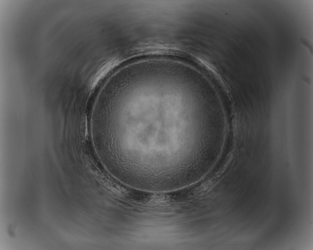 X0000100951267200806241455