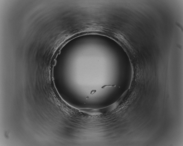 X0000100951268200806241455