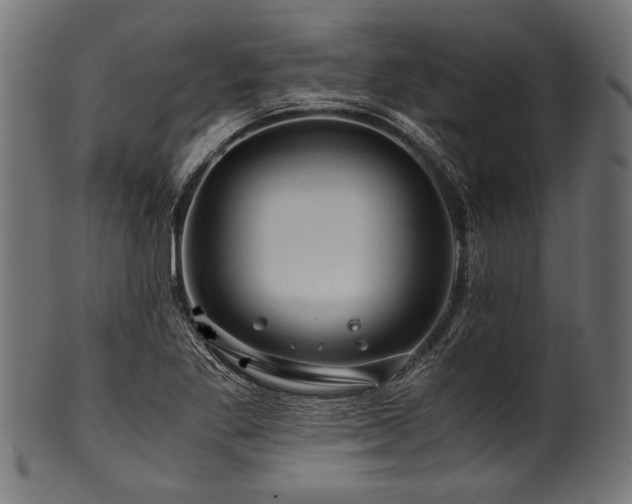 X0000100951269200806241455