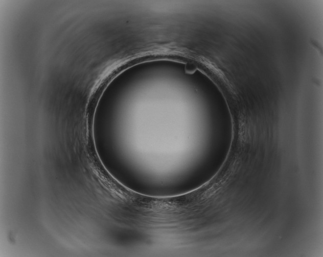 X0000100951270200806241455