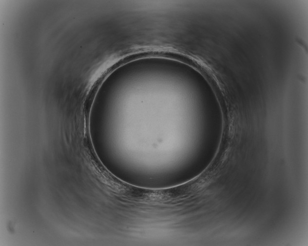X0000100951271200806241455