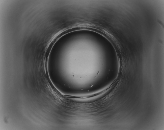 X0000100951272200806241455
