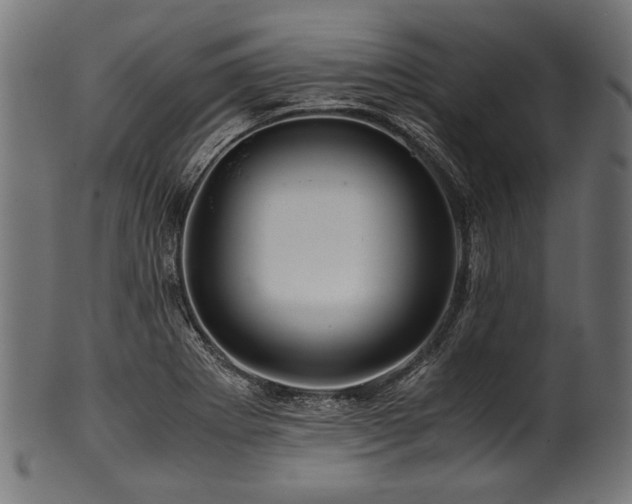 X0000100951273200806241455