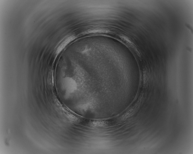 X0000100951274200806241455