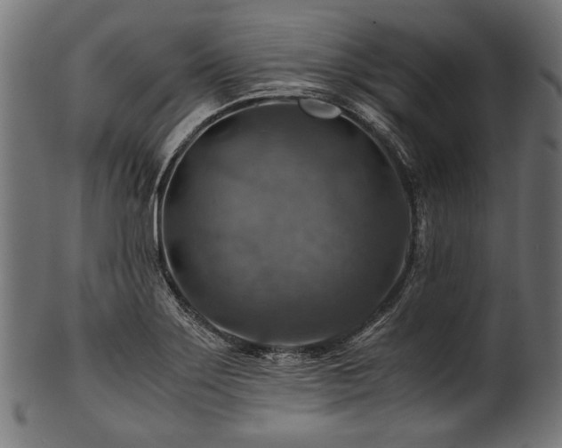 X0000100951275200806241455