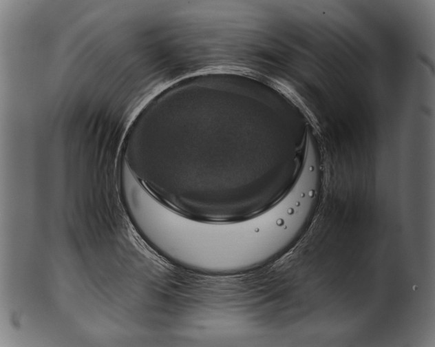 X0000100951276200806241455
