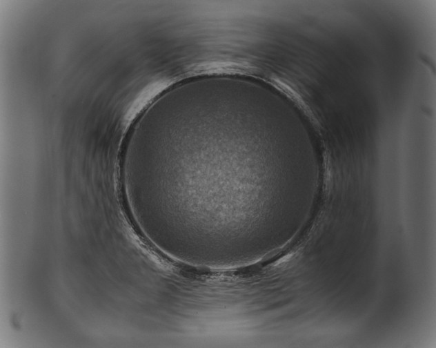 X0000100951277200806241455