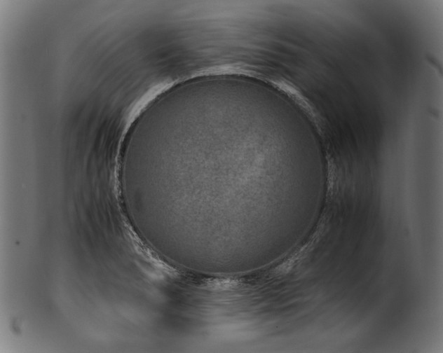 X0000100951278200806241455