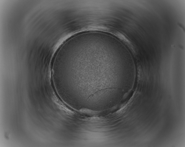 X0000100951280200806241455
