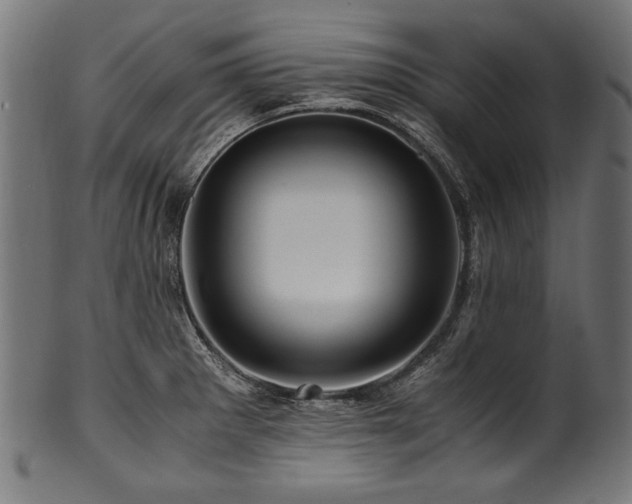 X0000100951281200806241455