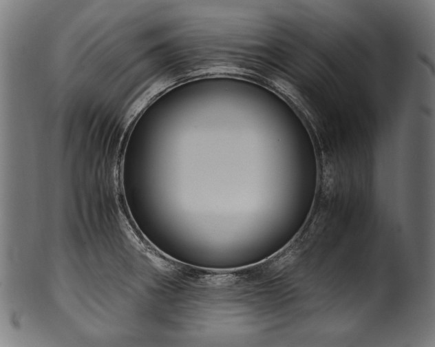 X0000100951282200806241455
