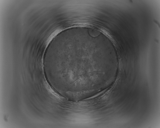 X0000100951283200806241455